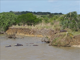 Hluhluwe River